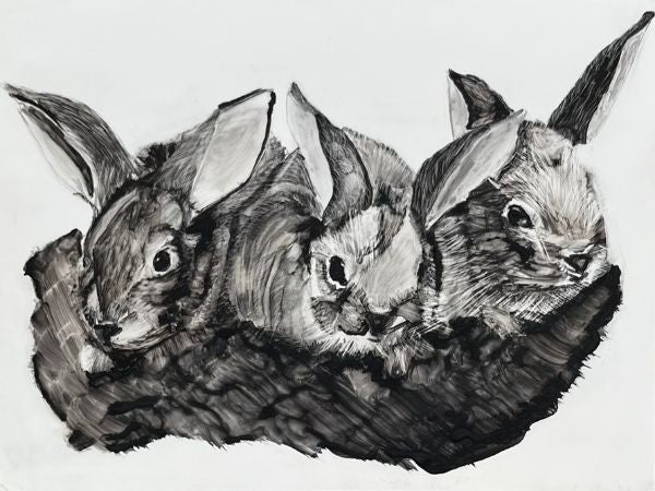A Fluffle of Rabbits