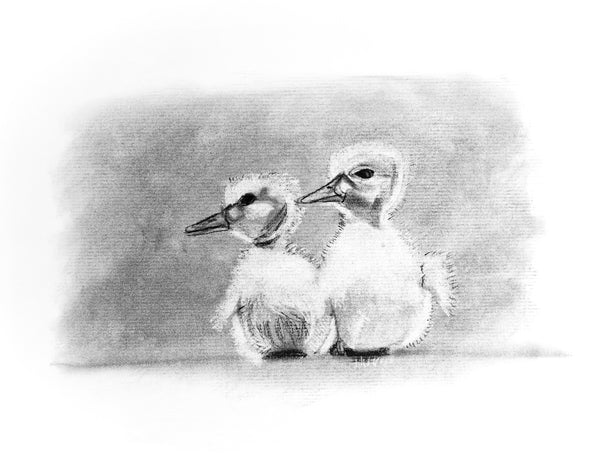 Two Little Chicks  Giclee Print