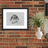 Little Lop 9" x 12" Original Charcoal Drawing