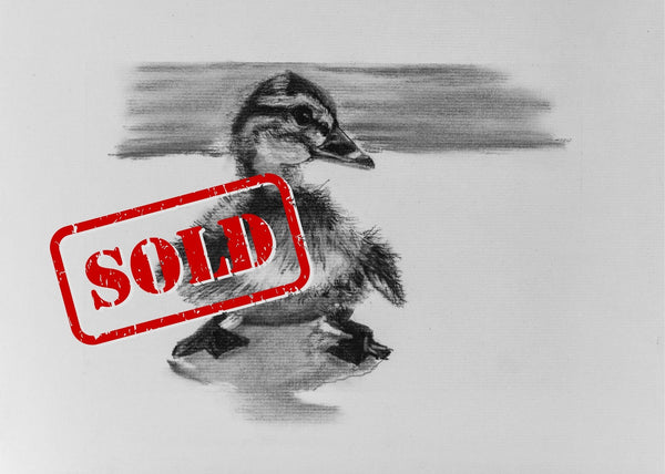 Original 9" x 12" Charcoal Drawing Duckling